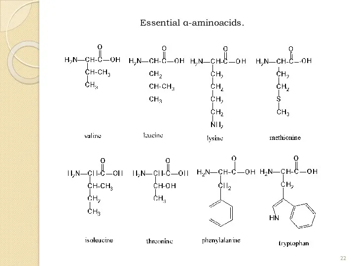 Essential α-aminoacids.