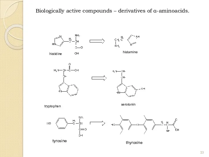 Biologically active compounds – derivatives of α-aminoacids. histidine histamine tryptophan serotonin thyroxine tyrosine