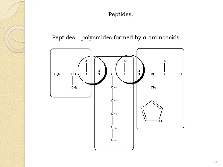 Peptides. Peptides – polyamides formed by α-aminoacids.