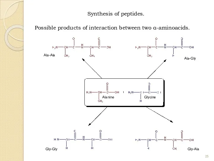 Synthesis of peptides. Possible products of interaction between two α-aminoacids. Alanine Glycine Ala-Ala Ala-Gly Gly-Gly Gly-Ala