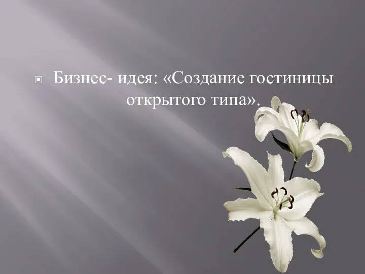 Бизнес- идея: «Создание гостиницы открытого типа».