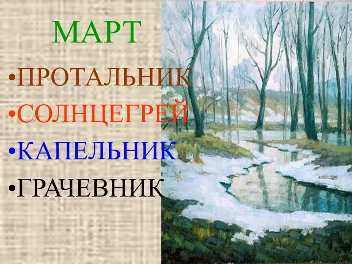 МАРТ ПРОТАЛЬНИК СОЛНЦЕГРЕЙ КАПЕЛЬНИК ГРАЧЕВНИК