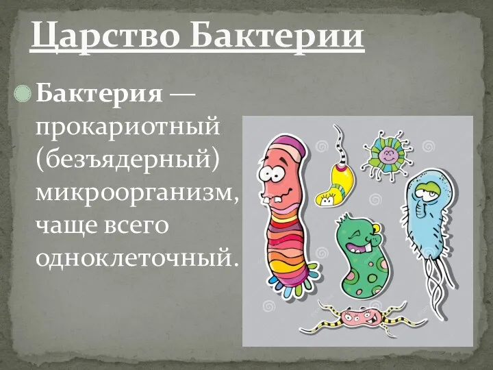 Бактерия — прокариотный (безъядерный) микроорганизм, чаще всего одноклеточный. Царство Бактерии