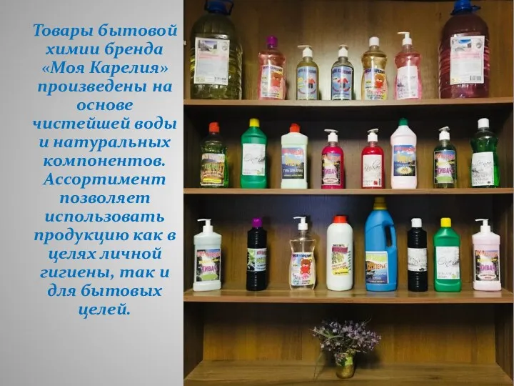 Товары бытовой химии бренда «Моя Карелия» произведены на основе чистейшей