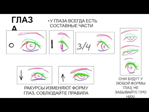 ГЛАЗА У ГЛАЗА ВСЕГДА ЕСТЬ СОСТАВНЫЕ ЧАСТИ ОНИ БУДУТ У ЛЮБОЙ ФОРМЫ ГЛАЗ,