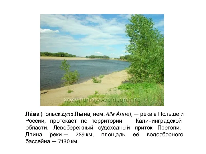 Ла́ва (польск.Łyna Лы́на, нем. Alle А́лле), — река в Польше