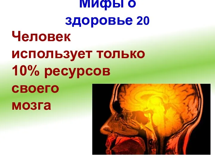 Мифы о здоровье 20 Человек использует только 10% ресурсов своего мозга