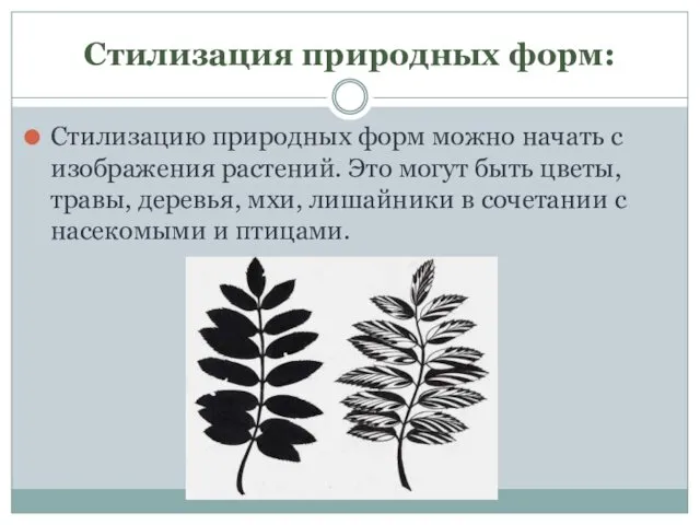 Стилизация природных форм: Стилизацию природных форм можно начать с изображения растений. Это могут