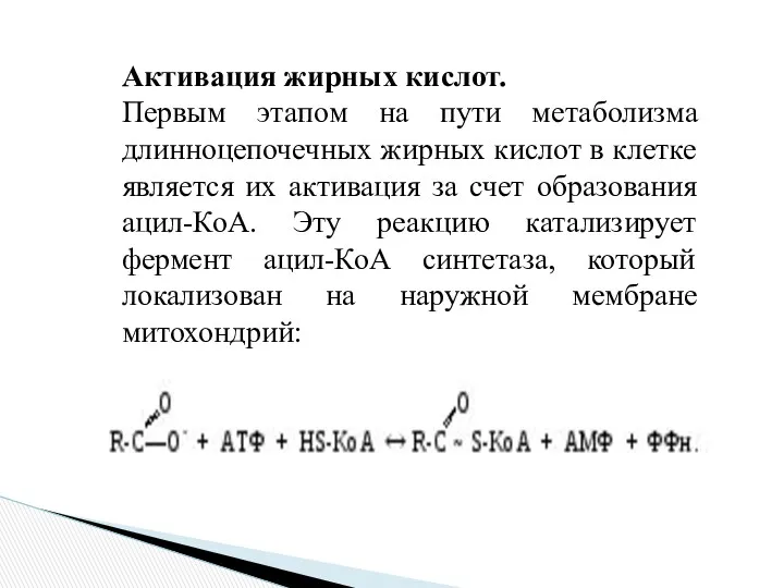 Активация жирных кислот. Первым этапом на пути метаболизма длинноцепочечных жирных