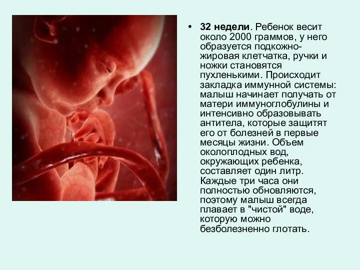 32 недели. Ребенок весит около 2000 граммов, у него образуется