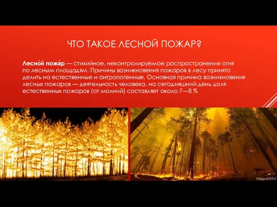 ЧТО ТАКОЕ ЛЕСНОЙ ПОЖАР? Лесно́й пожа́р — стихийное, неконтролируемое распространение