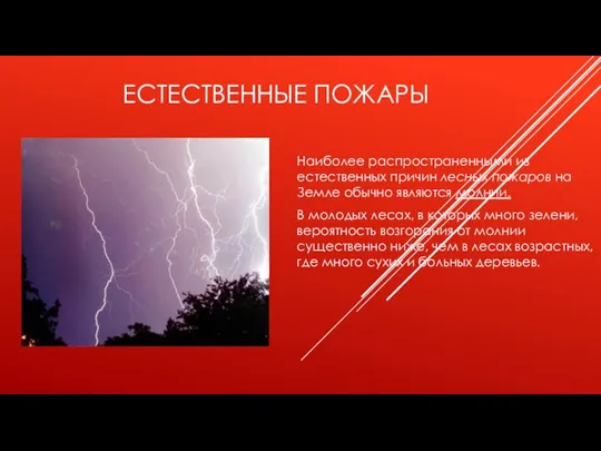 ЕСТЕСТВЕННЫЕ ПОЖАРЫ Наиболее распространенными из естественных причин лесных пожаров на