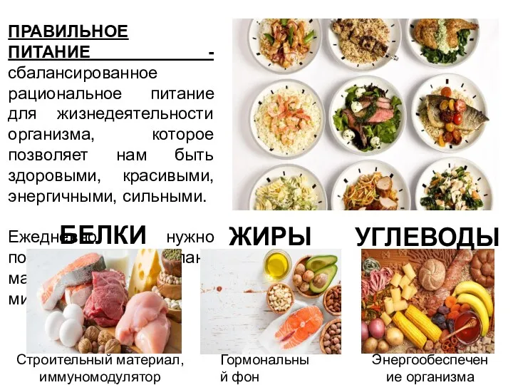 ПРАВИЛЬНОЕ ПИТАНИЕ - сбалансированное рациональное питание для жизнедеятельности организма, которое