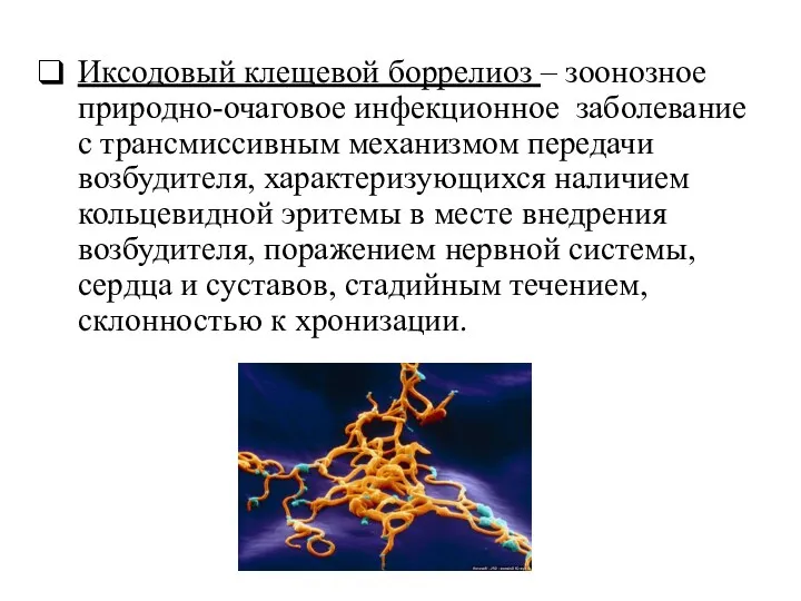 Иксодовый клещевой боррелиоз – зоонозное природно-очаговое инфекционное заболевание с трансмиссивным