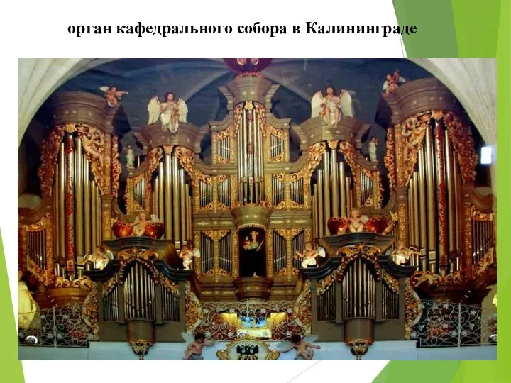 орган кафедрального собора в Калининграде