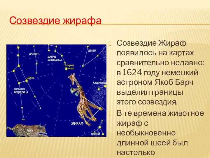 Созвездие жирафа Созвездие Жираф появилось на картах сравнительно недавно: в