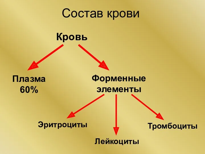 Состав крови