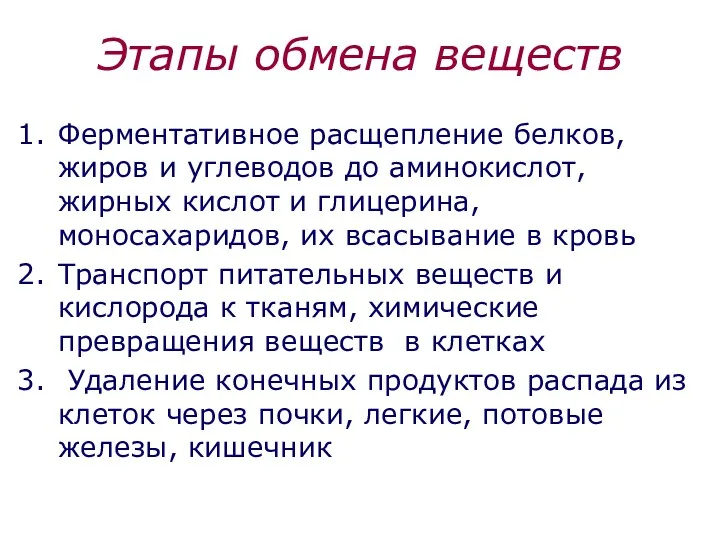 Этапы обмена веществ Ферментативное расщепление белков, жиров и углеводов до