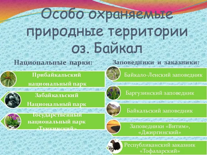 Особо охраняемые природные территории оз. Байкал Национальные парки: Заповедники и заказники: