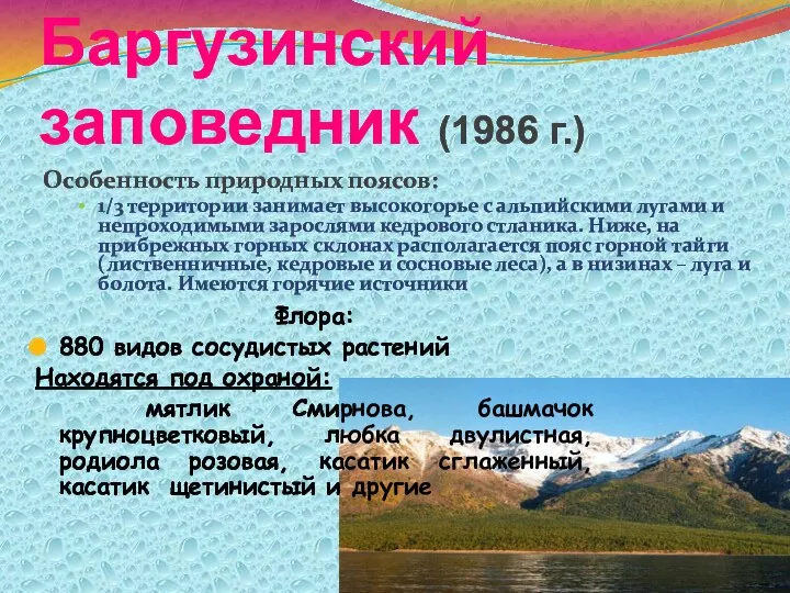 Баргузинский заповедник (1986 г.) Особенность природных поясов: 1/3 территории занимает высокогорье с альпийскими