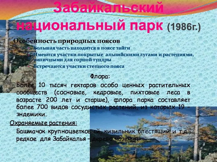 Забайкальский национальный парк (1986г.) Особенность природных поясов Большая часть находится в поясе тайги