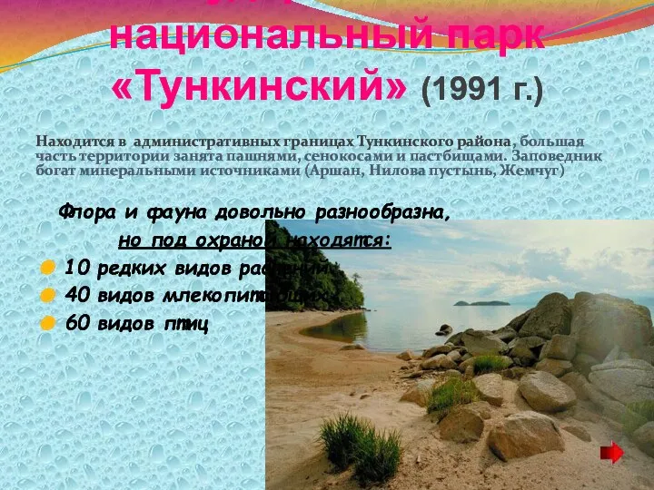 Государственный национальный парк «Тункинский» (1991 г.) Находится в административных границах Тункинского района, большая