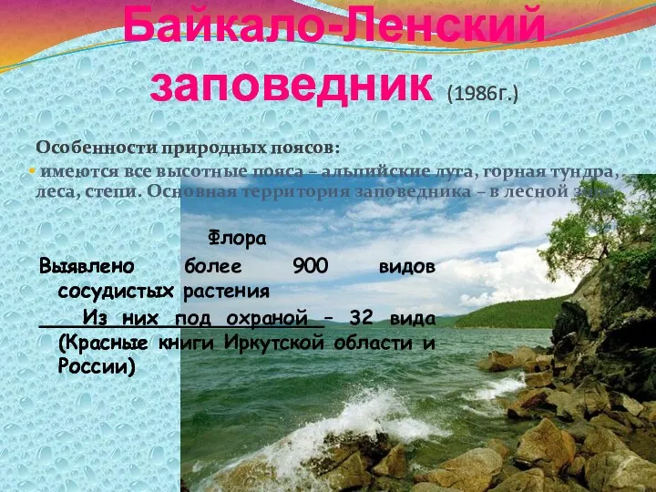 Байкало-Ленский заповедник (1986г.) Особенности природных поясов: имеются все высотные пояса – альпийские луга,