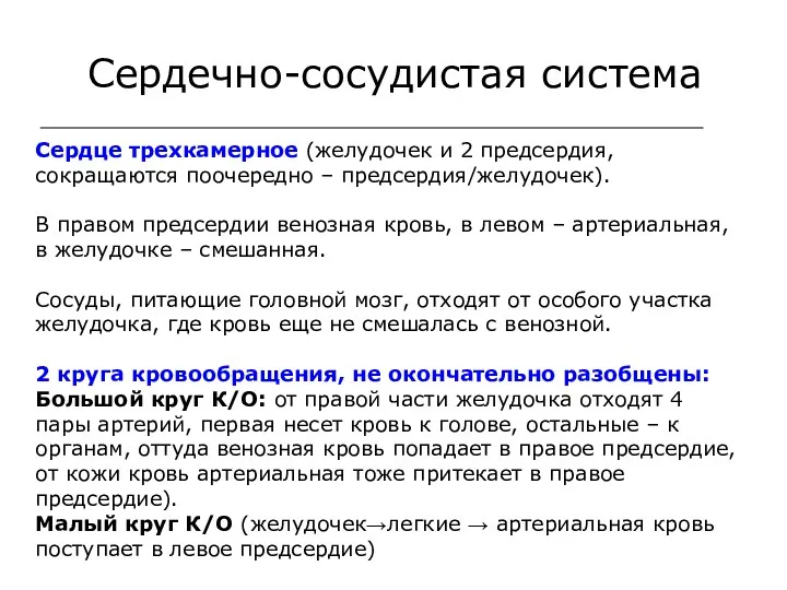 Сердечно-сосудистая система Сердце трехкамерное (желудочек и 2 предсердия, сокращаются поочередно