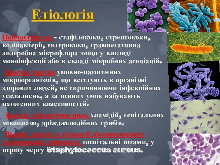 Етіологія Найчастіше це - стафілококи, стрептококи, колібактерії, ентерококи, грамнегативна анаеробна