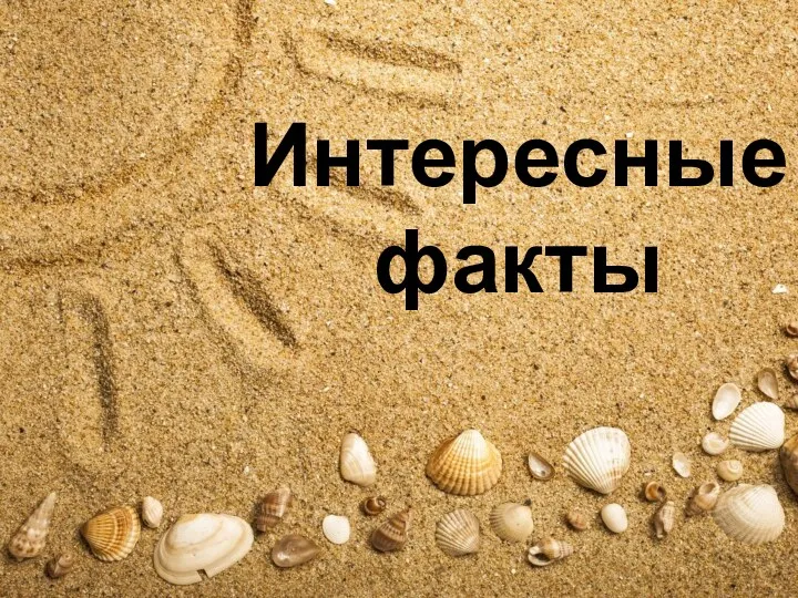 Интересные факты