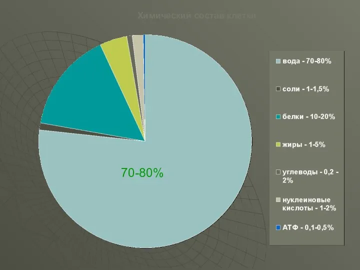 Химический состав клетки 70-80%