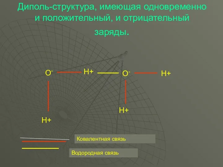 Диполь-структура, имеющая одновременно и положительный, и отрицательный заряды. Ковалентная связь Водородная связь