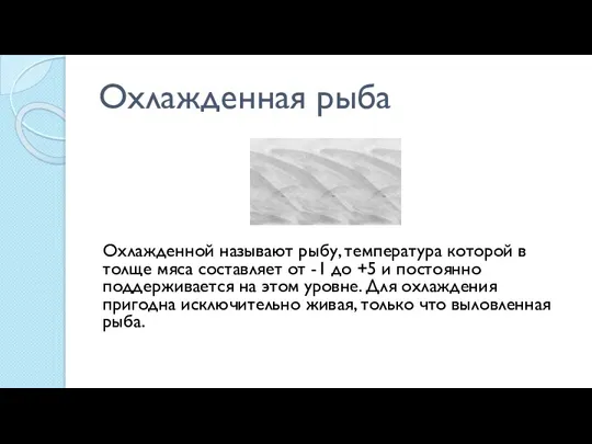 Охлажденная рыба Охлажденной называют рыбу, температура которой в толще мяса