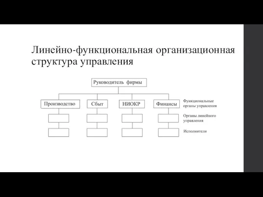 Линейно-функциональная организационная структура управления