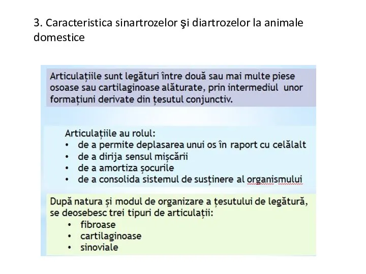 3. Caracteristica sinartrozelor şi diartrozelor la animale domestice