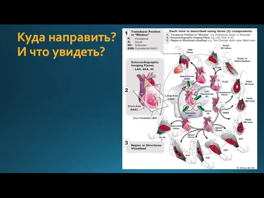 Куда направить? И что увидеть?