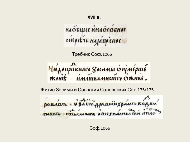XVII в. Требник Соф.1066 Житие Зосимы и Савватия Соловецких Сол.175/175 Соф.1066