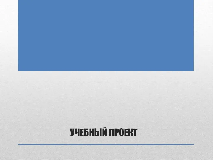 УЧЕБНЫЙ ПРОЕКТ