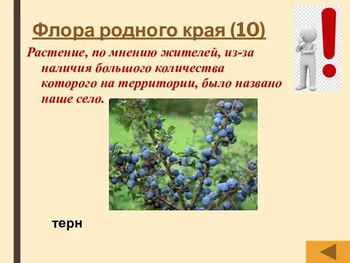 Флора родного края (10) Растение, по мнению жителей, из-за наличия