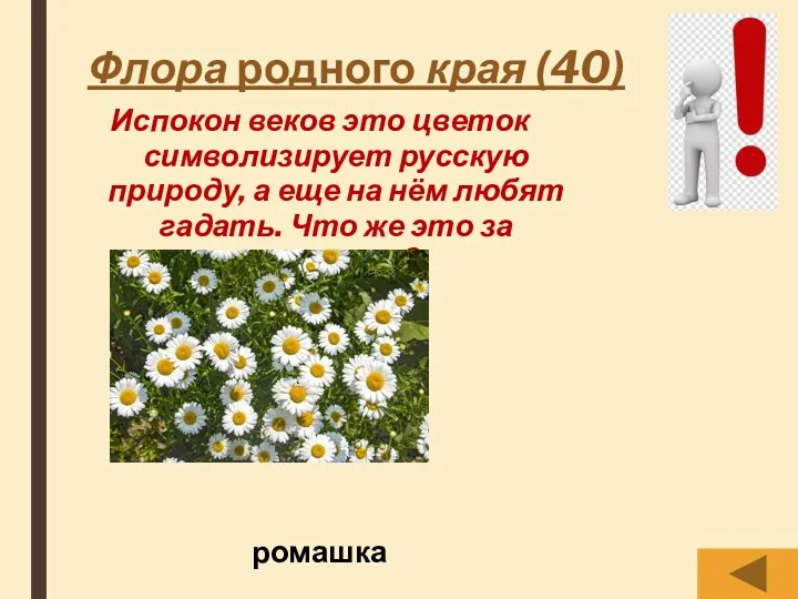 Флора родного края (40) Испокон веков это цветок символизирует русскую