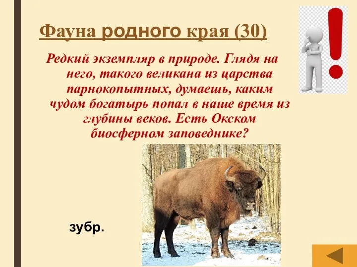 Фауна родного края (30) Редкий экземпляр в природе. Глядя на