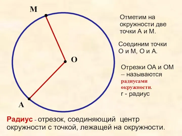 О М А Отметим на окружности две точки А и