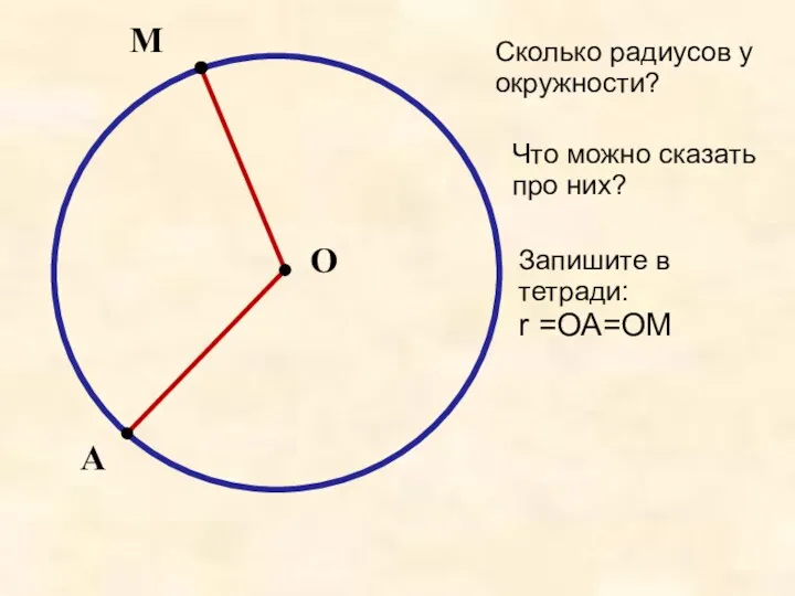 О М А Сколько радиусов у окружности? Что можно сказать