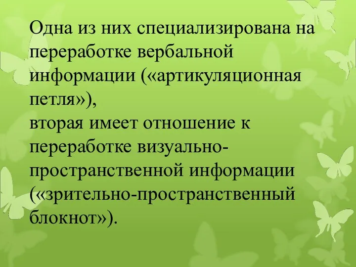 Одна из них специализирована на переработке вербальной информации («артикуляционная петля»),