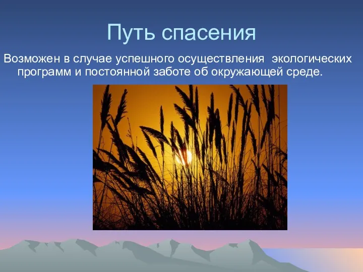 Путь спасения Возможен в случае успешного осуществления экологических программ и постоянной заботе об окружающей среде.