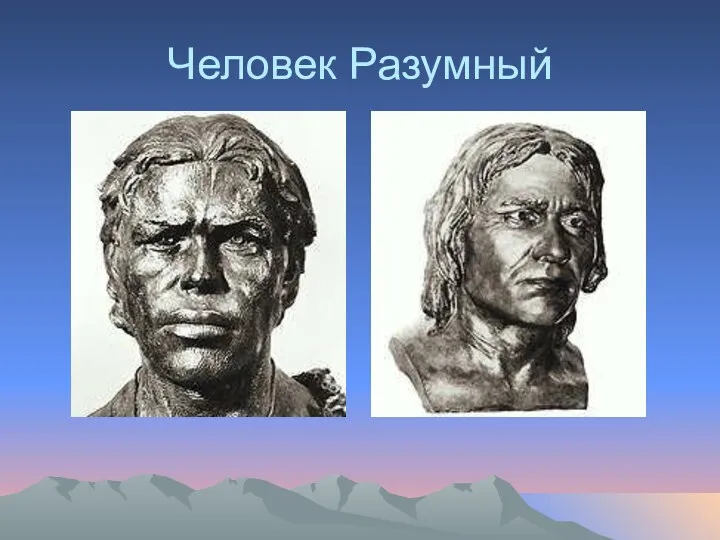 Человек Разумный