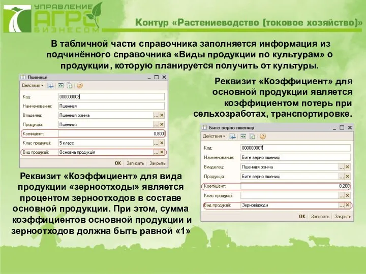 В табличной части справочника заполняется информация из подчинённого справочника «Виды