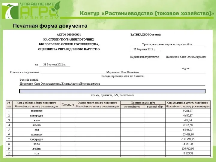 Печатная форма документа