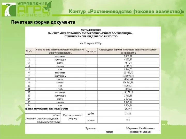 Печатная форма документа