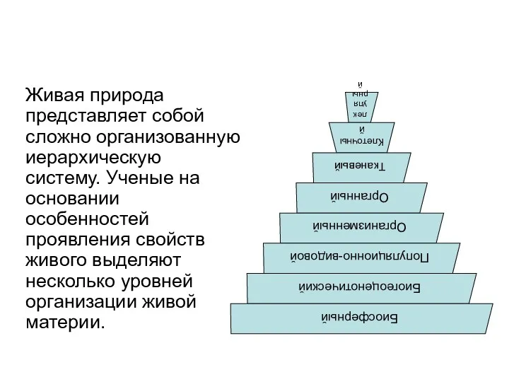 Уровни организации Живая природа представляет собой сложно организованную иерархическую систему.